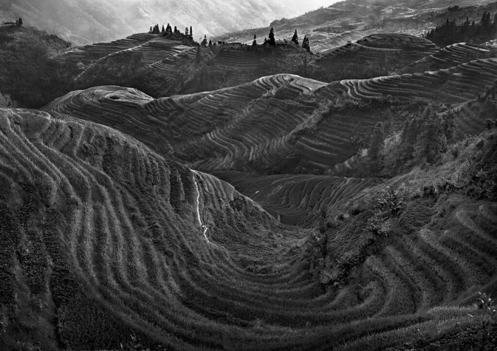 Longsheng