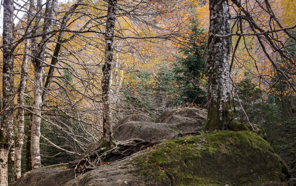 Ordesa National Park